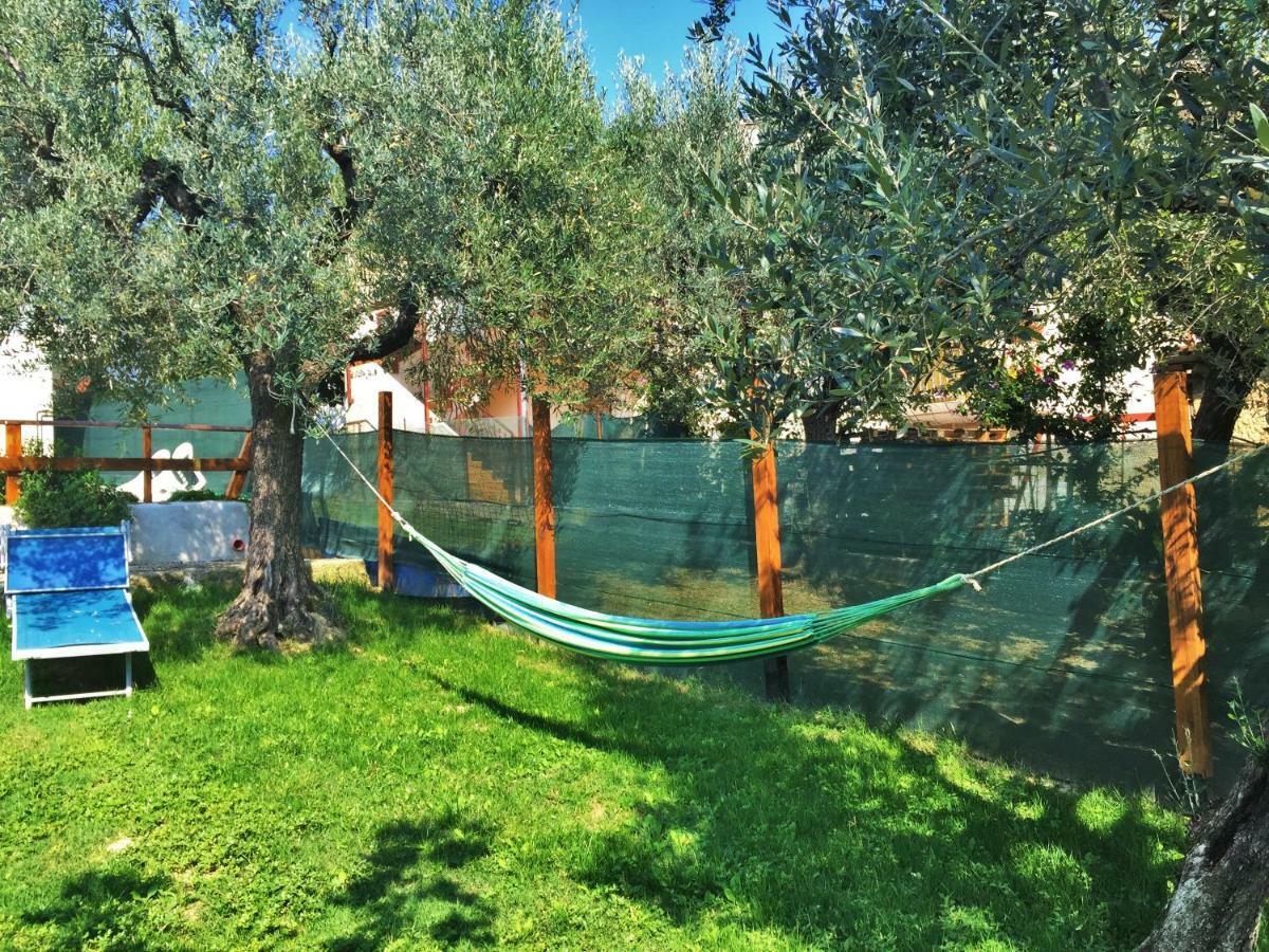 Bed and Breakfast Il Gruccione à Sant'Omero Extérieur photo
